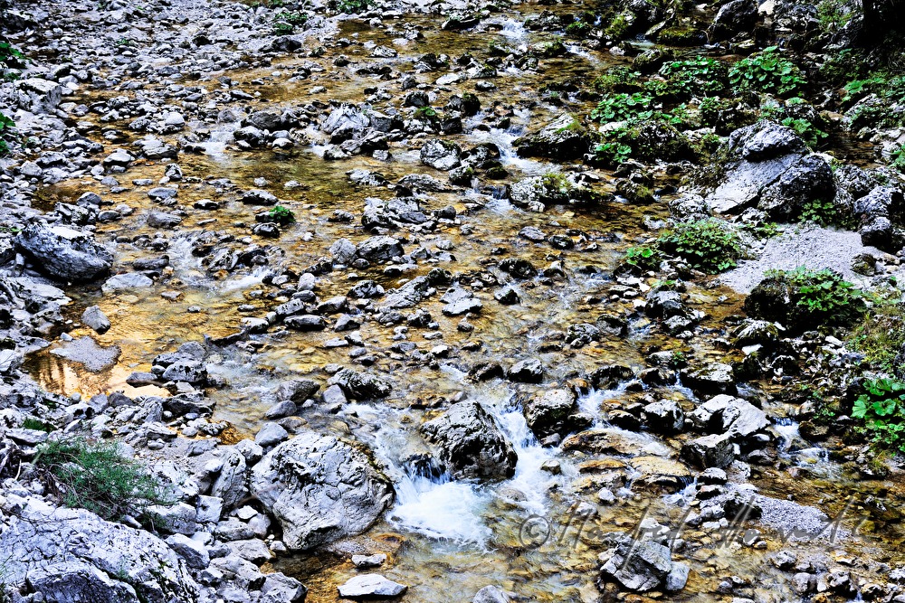 Flussbett der Erlauf in den Hinteren Tormäuern
