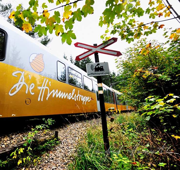 Mariazellerbahn bei der Hängebrücke über den Erlaufstausee