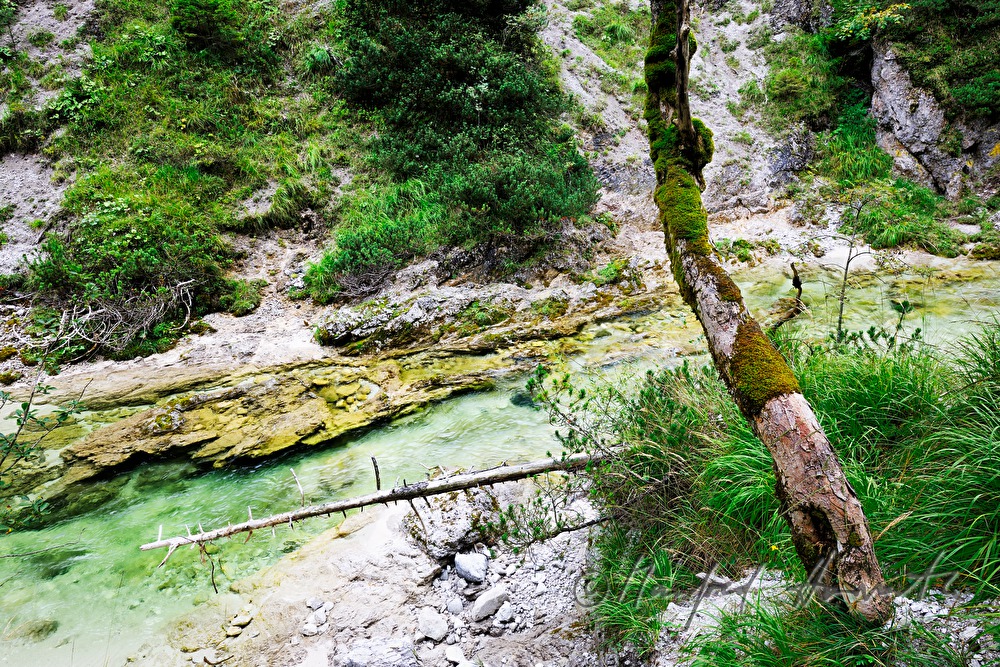 Flussbett der Erlauf in den Hinteren Tormäuern