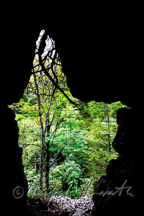 Felsdurchbrüche am Wanderweg