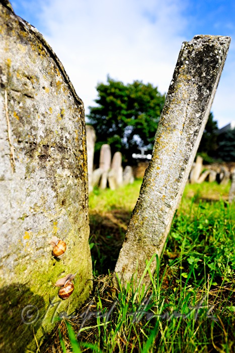 umgekippte Grabsteine am jüdischen Friedhof