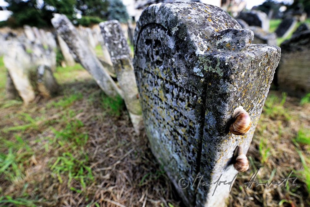 umgekippte Grabsteine am jüdischen Friedhof