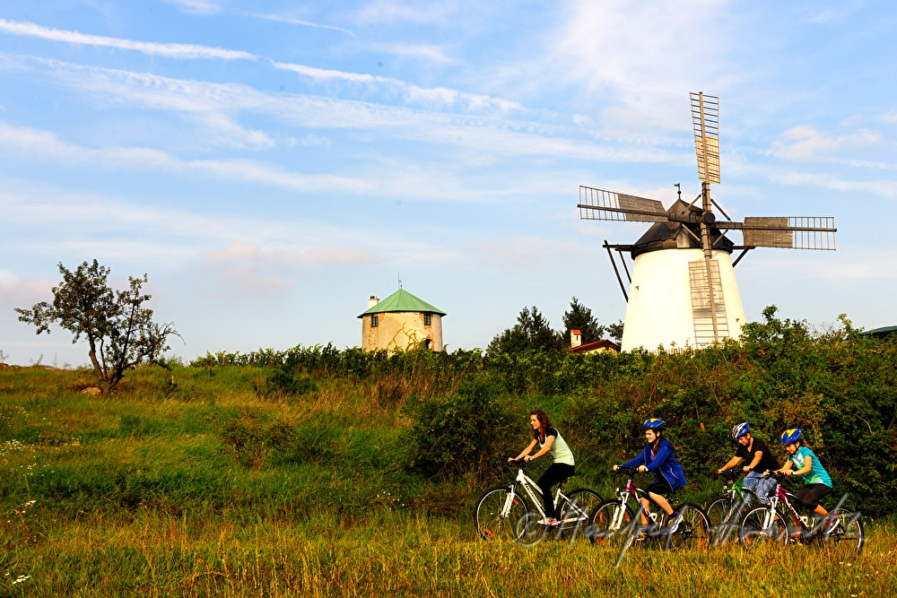 Radfahrer bei der Windmühle