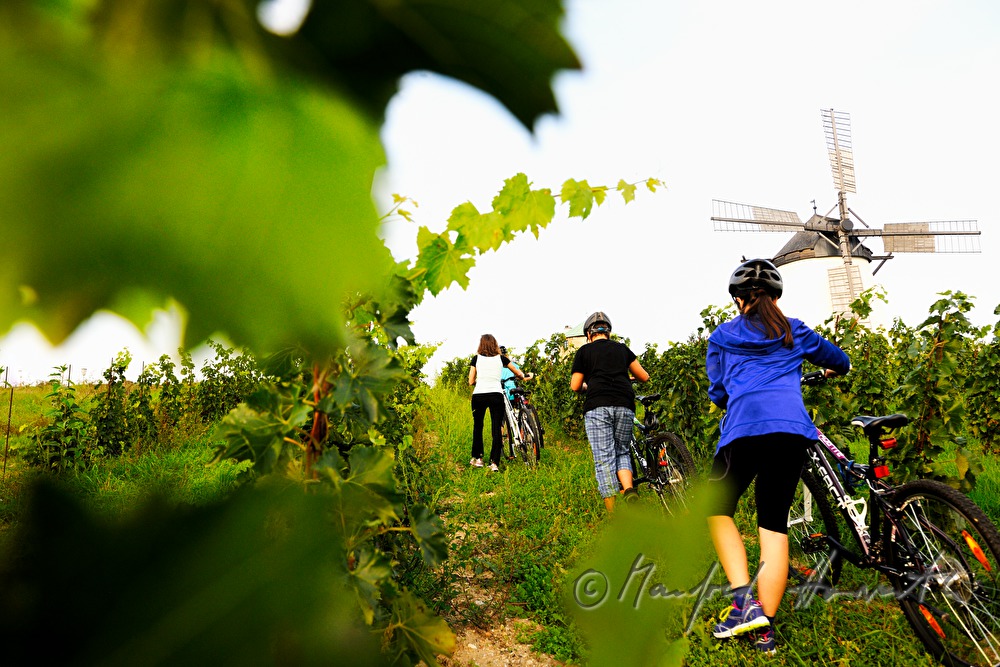 Radfahrer bei der Windmühle