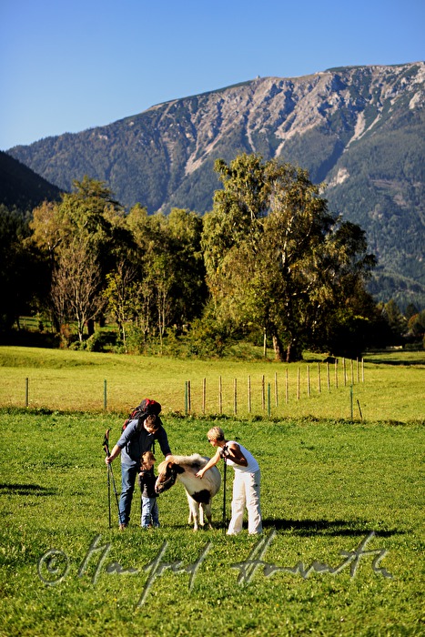 Familie beim Wandern streichelt ein Pony auf der Weide