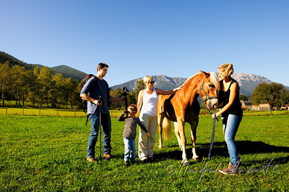 Familie beim Wandern streichelt ein Pony auf der Weide