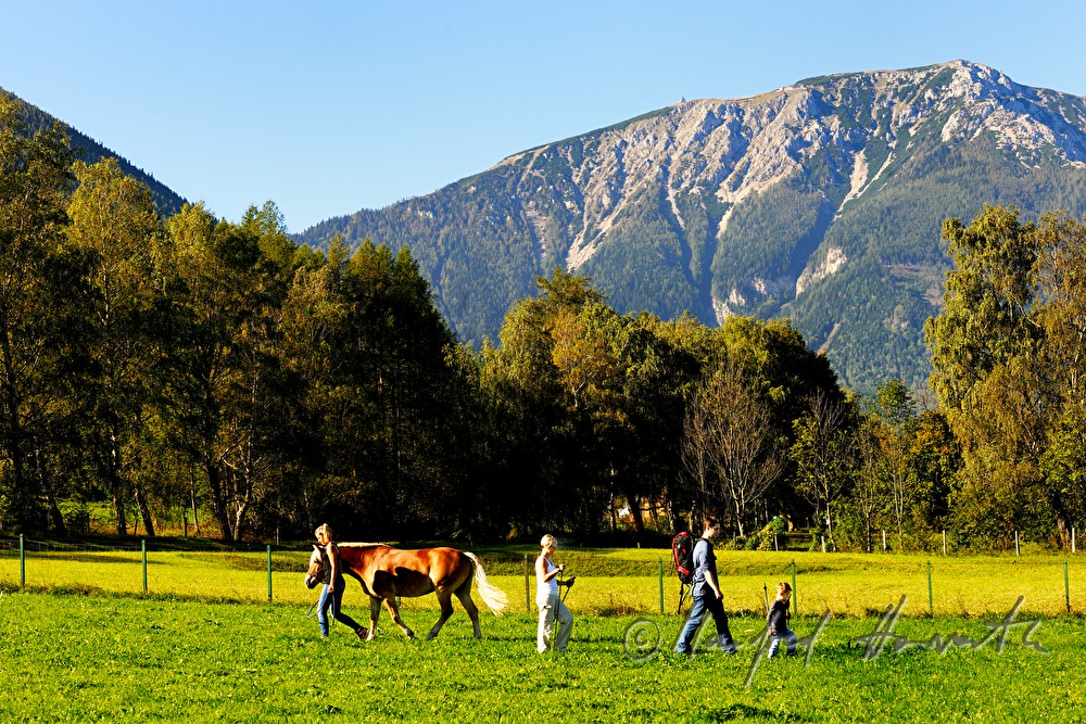 Familie beim Wandern streichelt ein Pony auf der Weide