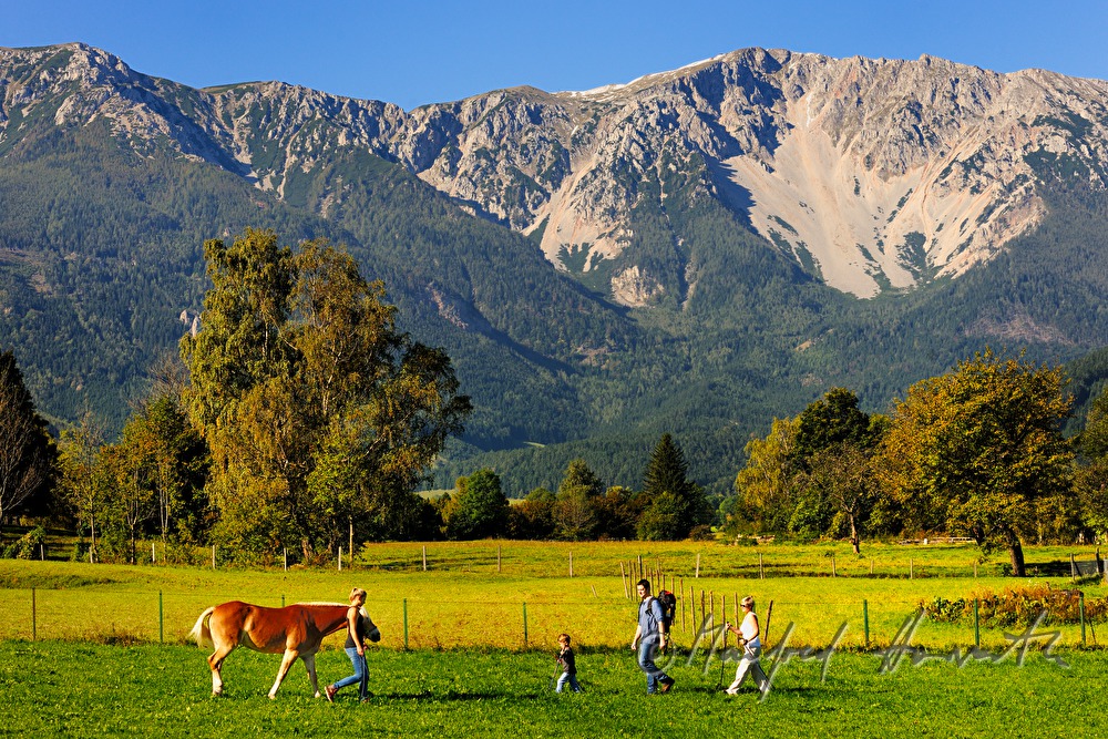 Familie beim Wandern streichelt ein Pony auf der Weide