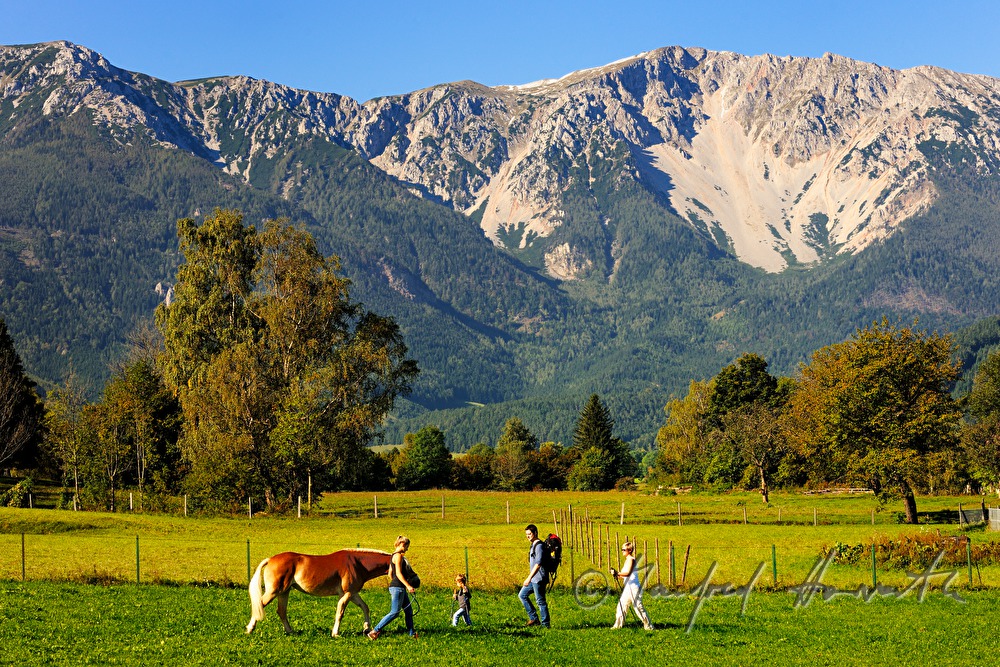 Familie beim Wandern streichelt ein Pony auf der Weide