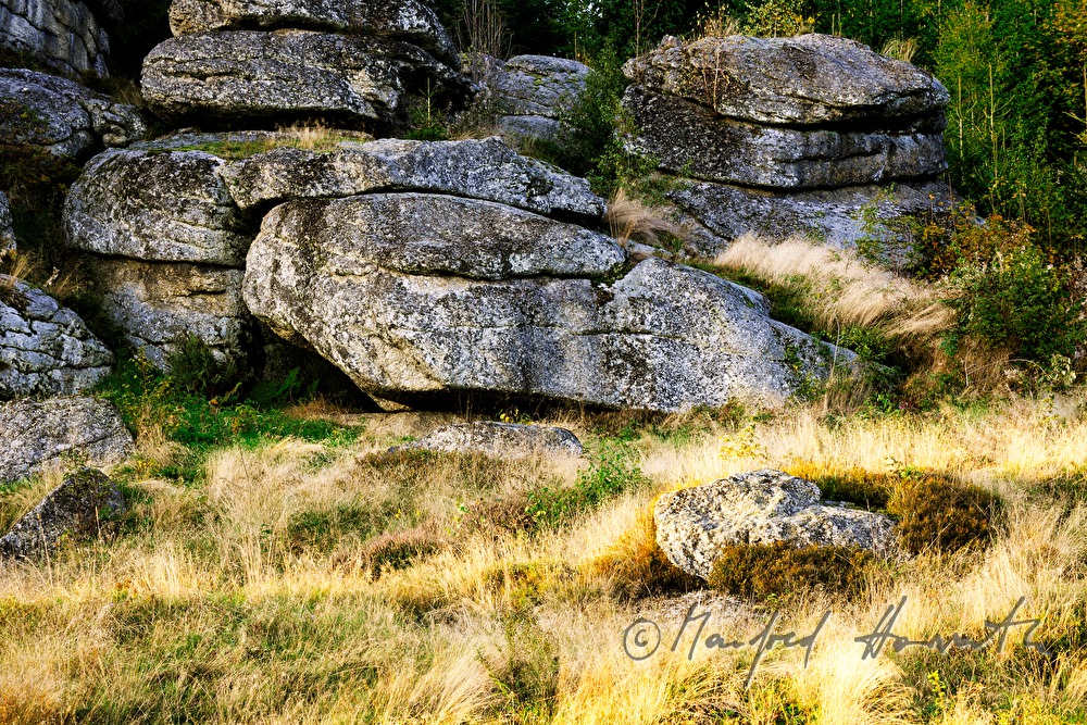 Granitformation und Heidelgras
