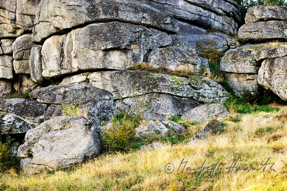 Granitformation und Heidelgras