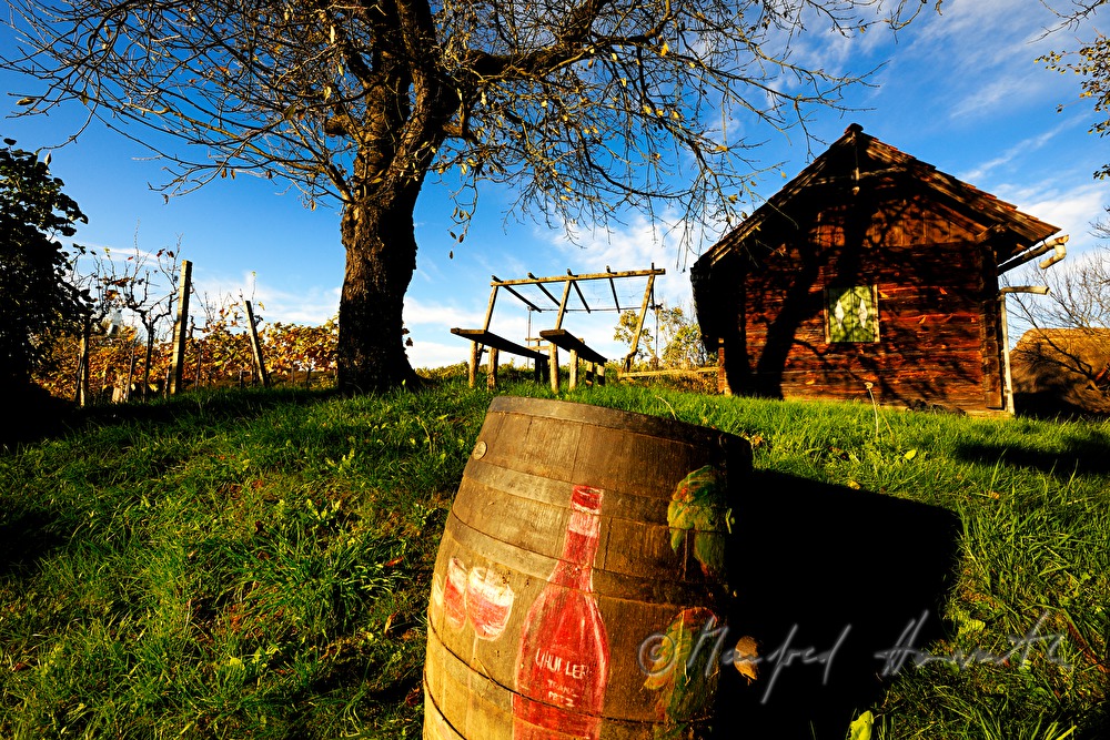 Wein-Fass mit Bemalung im Kellerviertel des Zeinberges