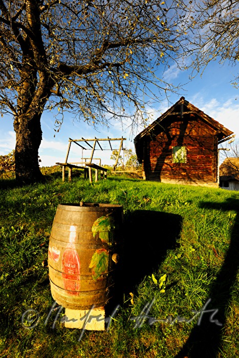 Wein-Fass mit Bemalung im Kellerviertel des Zeinberges