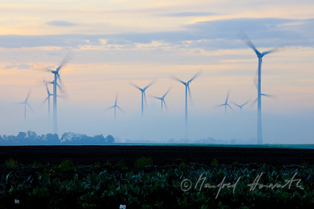 Windkraftanlage im Morgennebel
