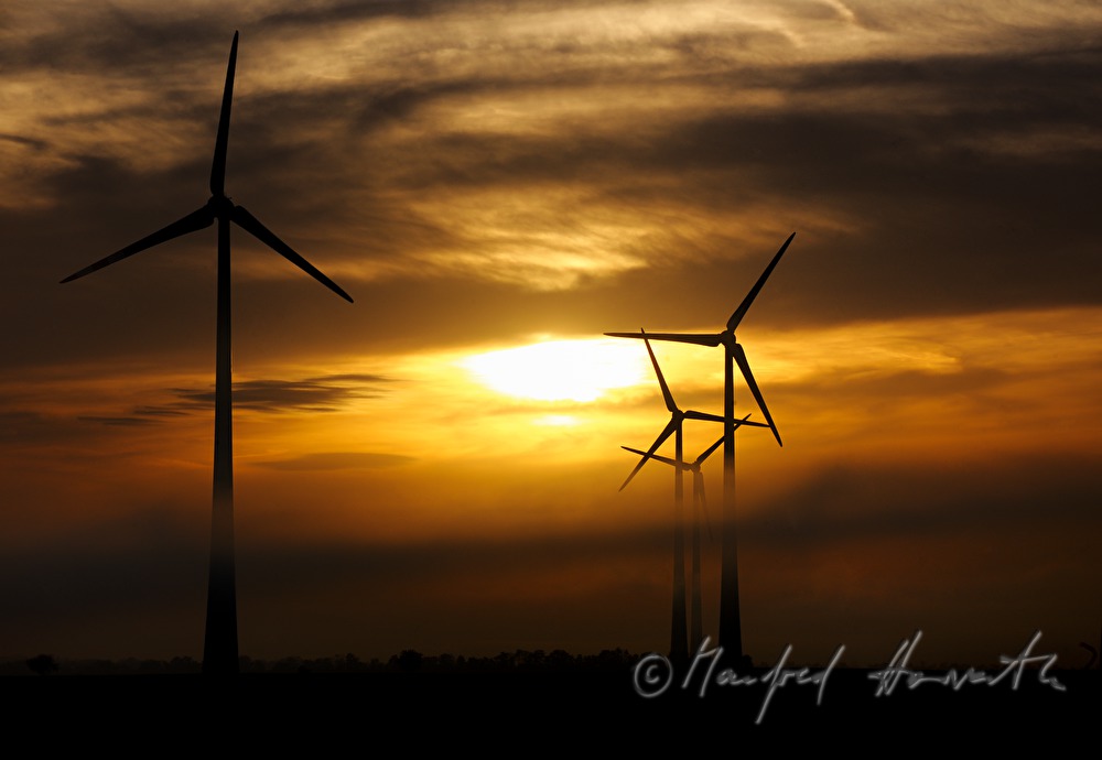Windkraftanlage im Morgennebel