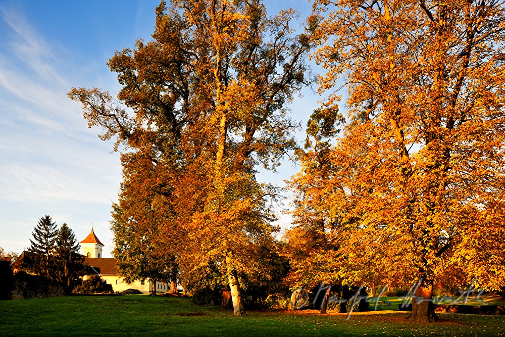 Franziskanerkirche und -kloster bei der Stadtmauer
