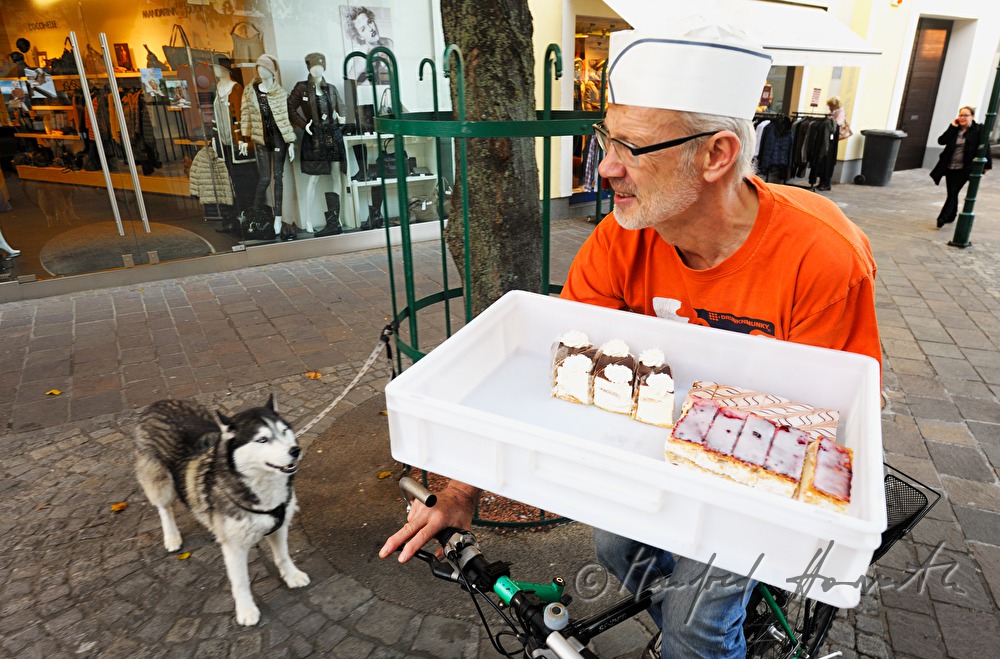 Konditor liefert Mehlspeisen per Rad aus