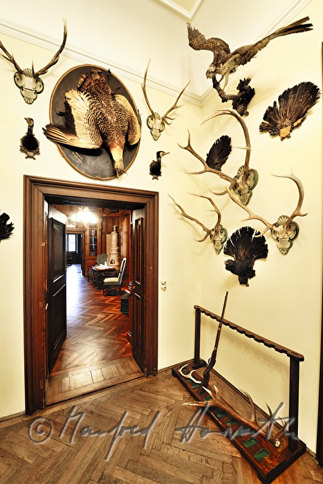 Blick in den Wohnsalon des Kaiserlichen Jagdschloss Eckartsau