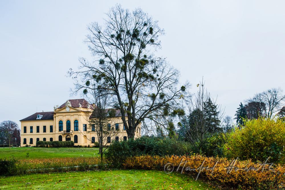 Herbstfarben im Englischen Landschaftspark