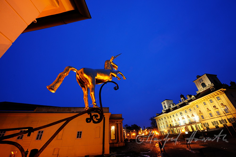 goldenes Zunftzeichen (Einhorn )und Schloss Esterhazy