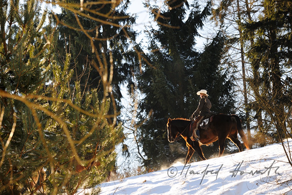 Western Reiter an einer Waldlichtung