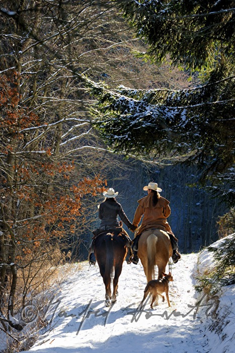 Western Reiter an einer Waldlichtung