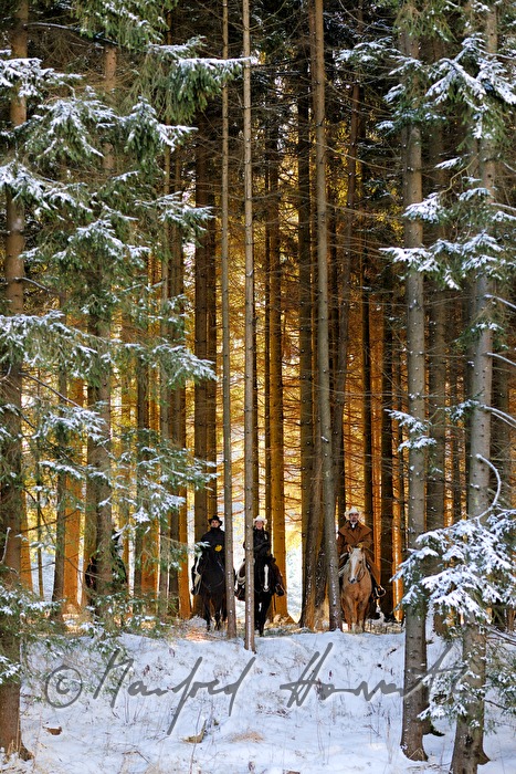 Reitergruppe von Westernreitern im Wald