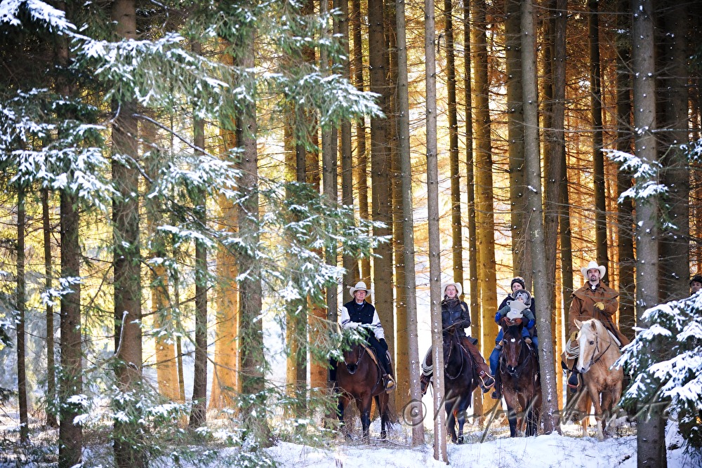 Reitergruppe von Westernreitern im Wald