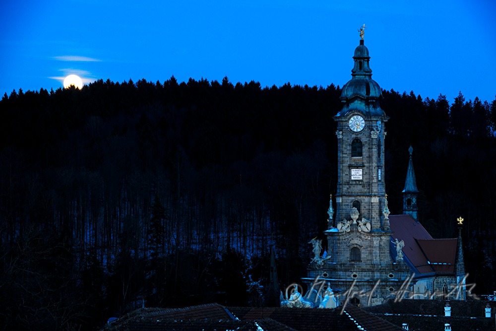 Stiftskirche am Waldrand bei Vollmond