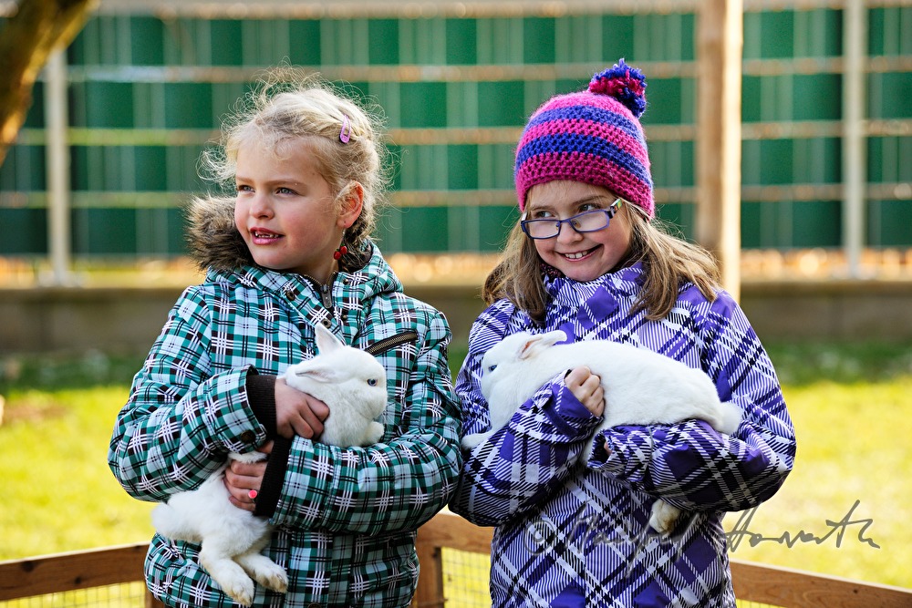 Albino-Kaninchen mit zwei Mädchen im Garten
