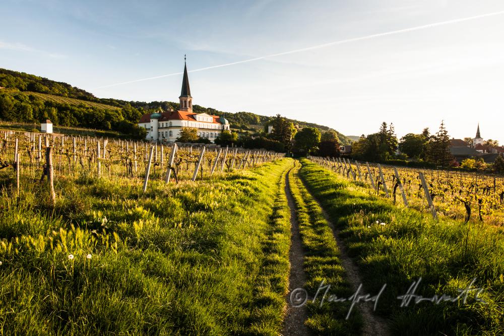 Schloss Gumpoldskirchen und Weinberge