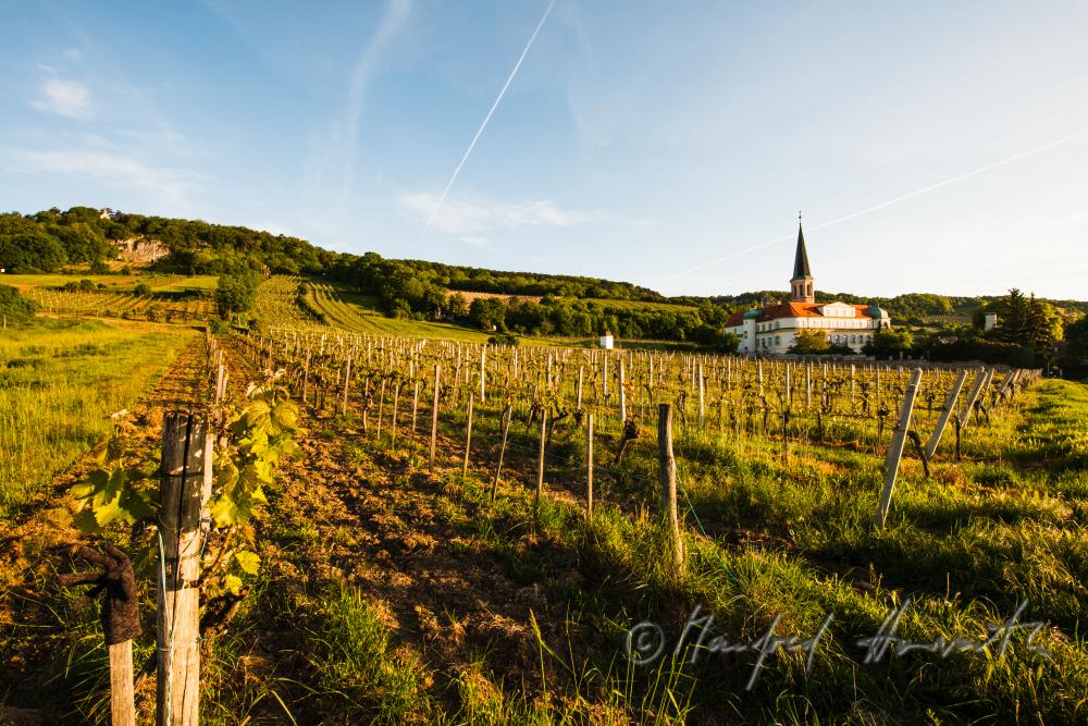 Schloss Gumpoldskirchen und Weinberge