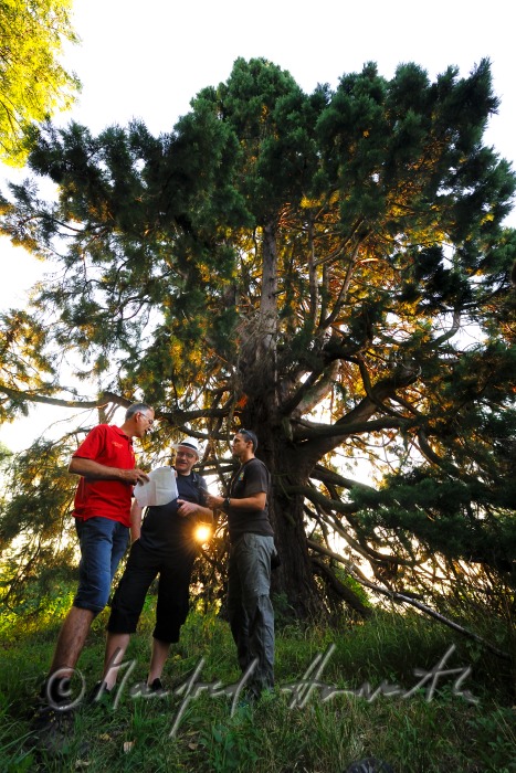 Gruppe von Geocachern folgt dem GPS-Signal