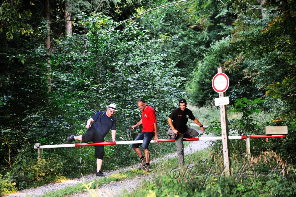 Gruppe von Geocachern folgt dem GPS-Signal