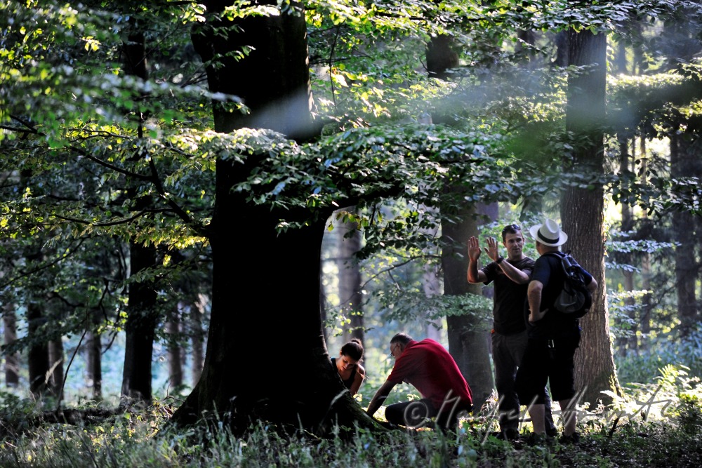 Gruppe von Geocachern folgt dem GPS-Signal
