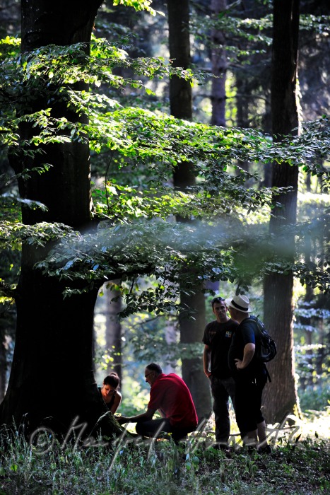 Gruppe von Geocachern folgt dem GPS-Signal