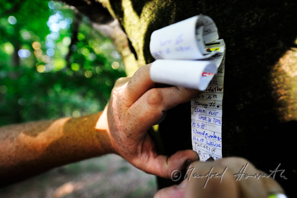 Geocacher beim Fundort des Geocaches