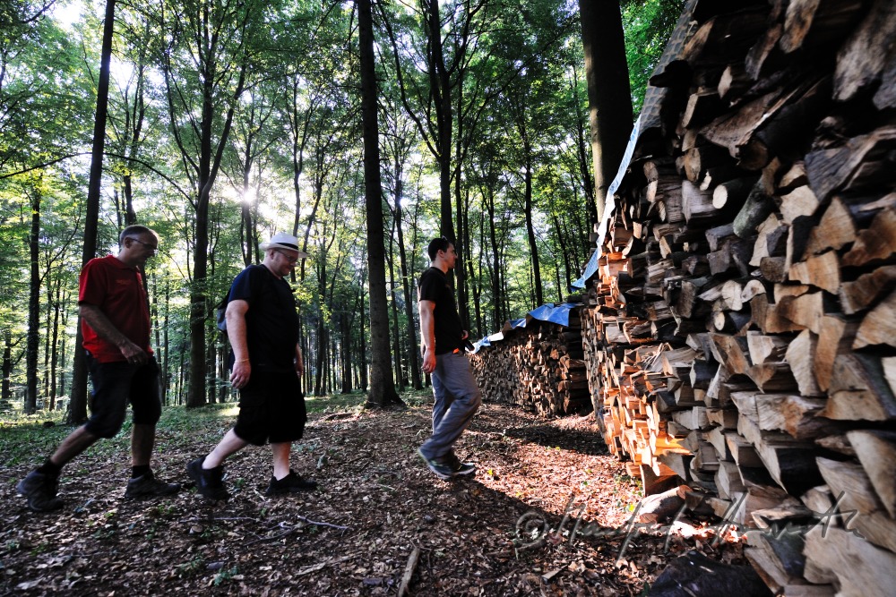 Gruppe von Geocachern folgt dem GPS-Signal
