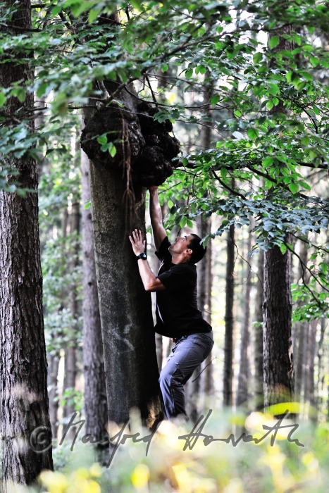 Geocacher beim Fundort des Geocaches