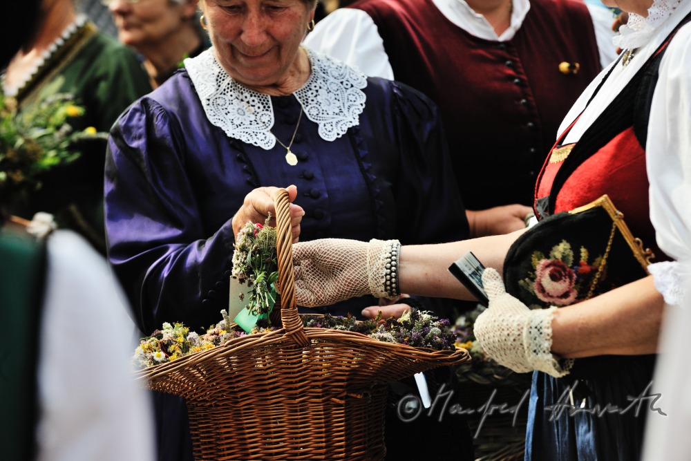 Kräuter bei der Kräuterweihe beim Altar bei der Freiluftmesse