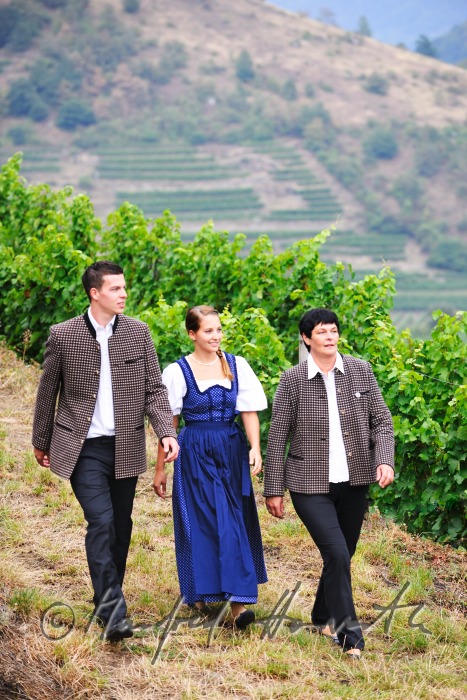 Spaziergänger in Wachauer Tracht gehen durch den Weingarten