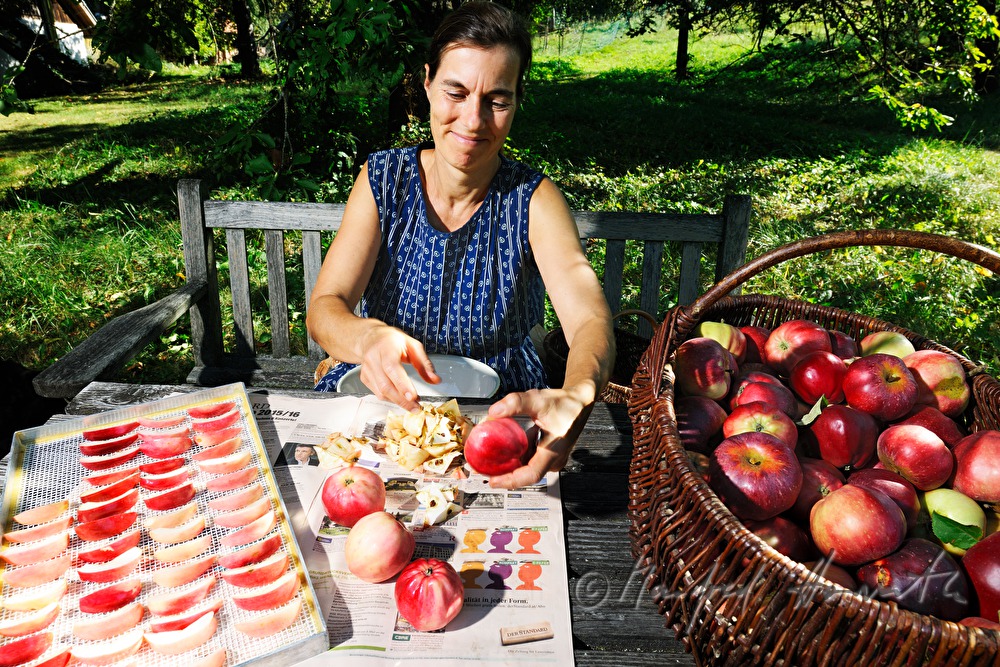 Schneiden von Äpfeln für die Herstellung von Trockenfrüchten