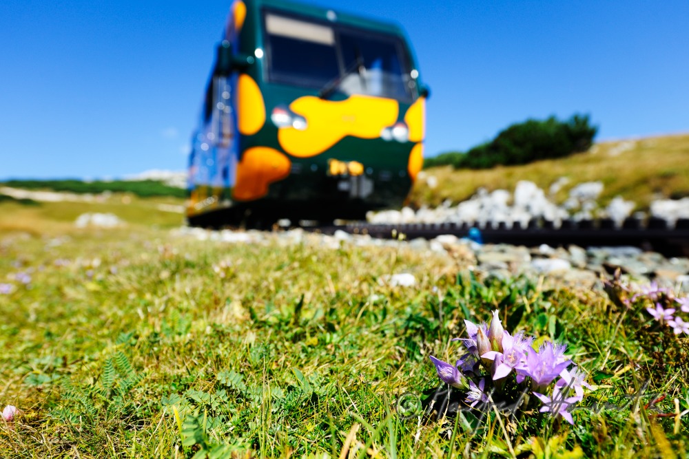 Zahnradbahn auf dem Hochschneeberg
