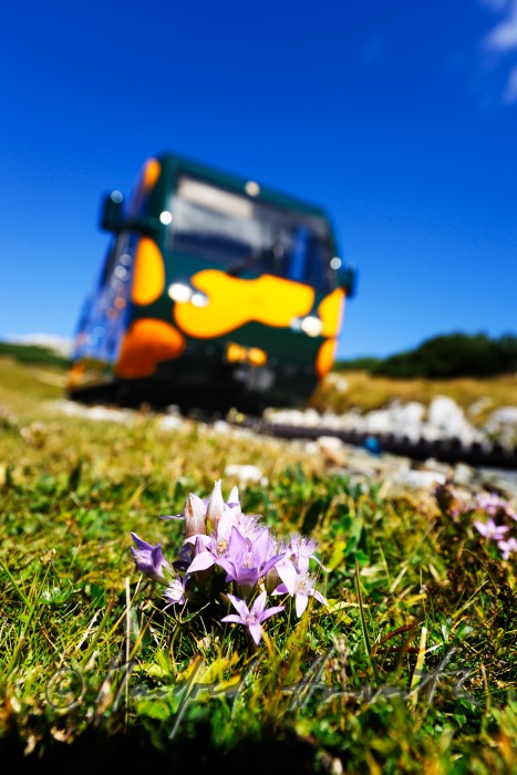Zahnradbahn auf dem Hochschneeberg