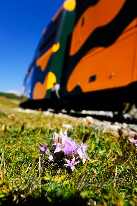 Zahnradbahn auf dem Hochschneeberg