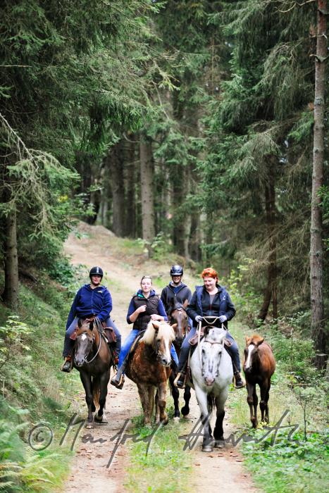 Gruppe von Reitern quert eine Waldlichtung
