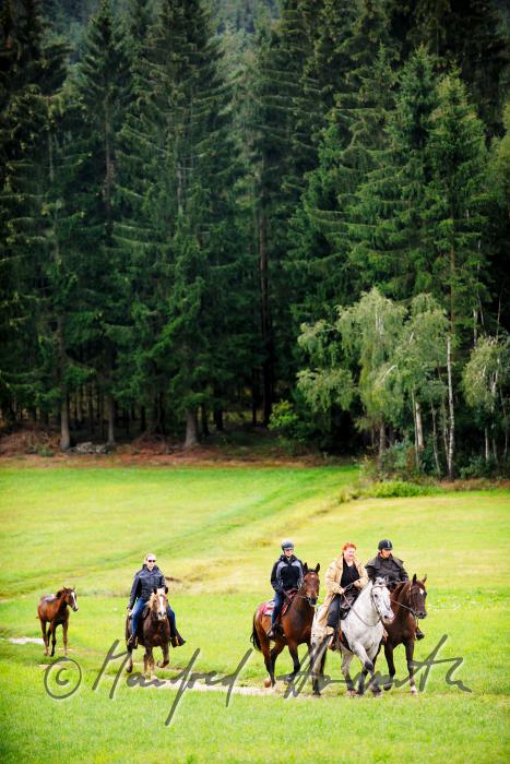 Gruppe von Reitern quert eine Waldlichtung