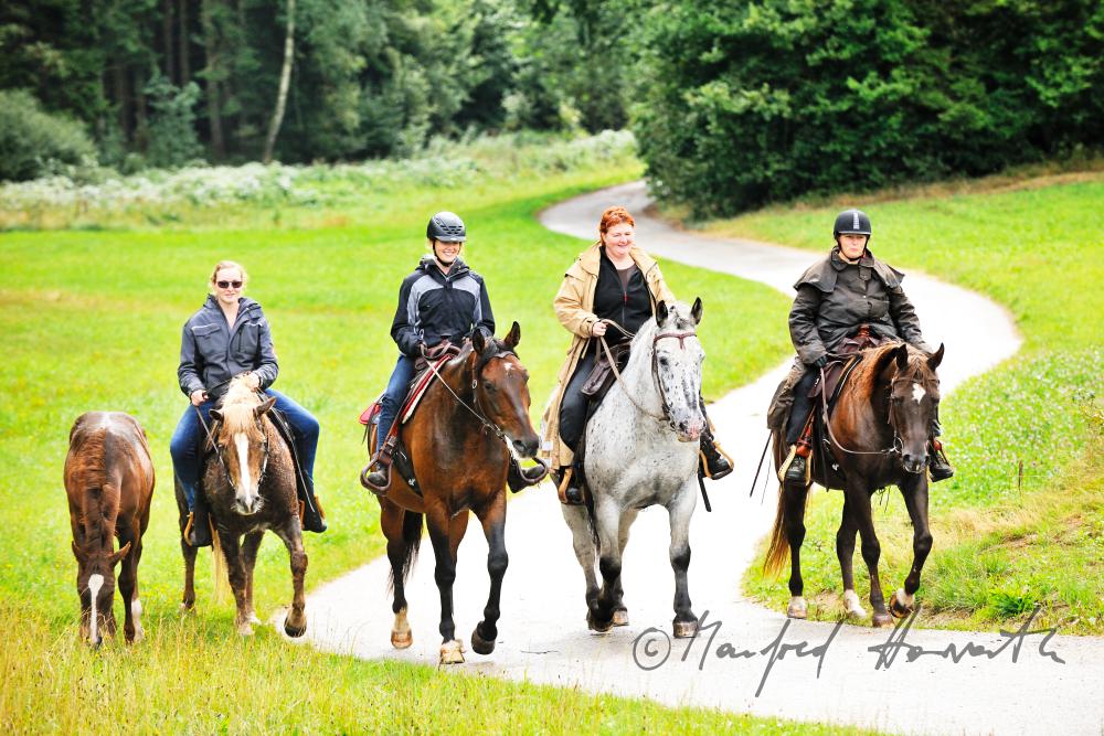 Gruppe von Reitern quert eine Waldlichtung