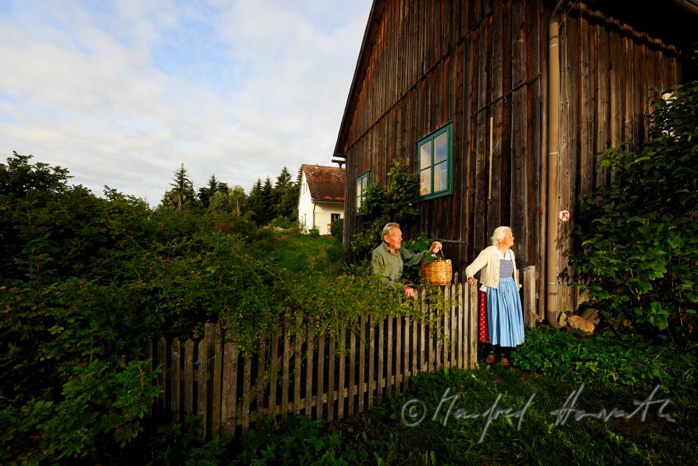 Herr und Frau Fuchs bei der Gartenarbeit