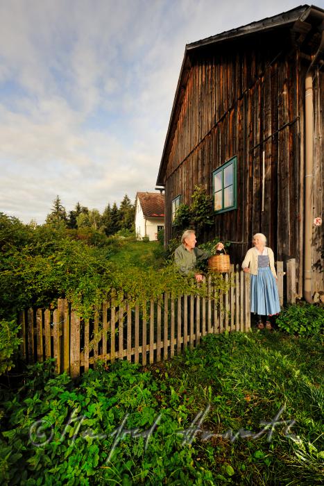 Herr und Frau Fuchs bei der Gartenarbeit